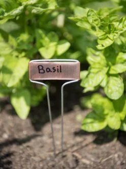 Copper Perennial Markers, Set Of 10