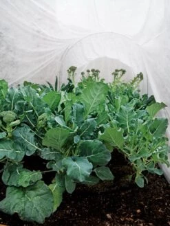 Summerweight Garden Fabric 10 Summerweight Garden Fabric -Garden Pro Shop 32644 7936 tif