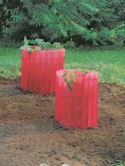 Red Tomato Teepees, Set Of 3