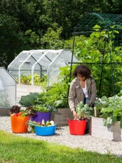 3-Season Plant Protection Tent, 3' X 6' -Garden Pro Shop 35 592 0181 1