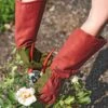 Rose Gloves -Garden Pro Shop 36874 0026 tif