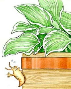 Copper Slug Tape 7 Copper Slug Tape -Garden Pro Shop 38 994 b