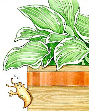 Copper Slug Tape 5 Copper Slug Tape - Image 3