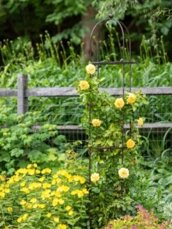 Jardin Round Obelisk, 7' 9 Jardin Round Obelisk, 7' -Garden Pro Shop 39 530 1668 tif