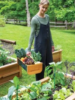 Garden Hods -Garden Pro Shop 39 761 0146 tif