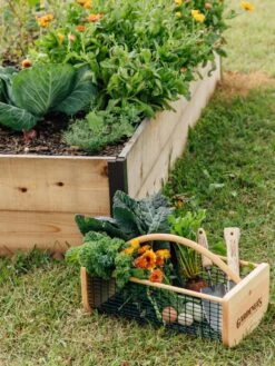 Garden Hods -Garden Pro Shop 39 761 572 tif