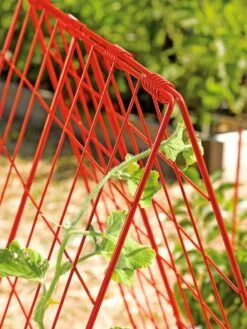 Deluxe Cucumber Trellis 12 Deluxe Cucumber Trellis -Garden Pro Shop 39806 542 tif