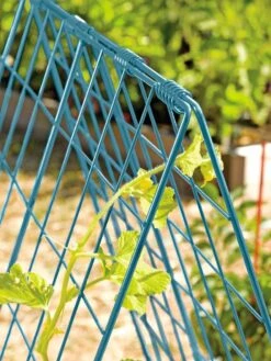 Deluxe Cucumber Trellis 14 Deluxe Cucumber Trellis -Garden Pro Shop 39806 BLUE 100 tif