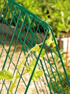 Deluxe Cucumber Trellis 13 Deluxe Cucumber Trellis -Garden Pro Shop 39806 GR edit tif
