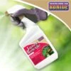 Bonide® Japanese Beetle Killer 2 Bonide® Japanese Beetle Killer -Garden Pro Shop 3 4 crop 8586927 01V 3 4