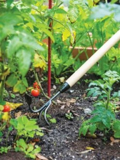 Gardener's Lifetime Long-Handled Double Tool -Garden Pro Shop 3 4 crop 8592107 2460 tif