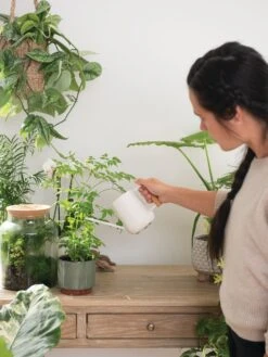 Pinpoint Indoor Watering Can -Garden Pro Shop 3 4 crop 8612963 3774