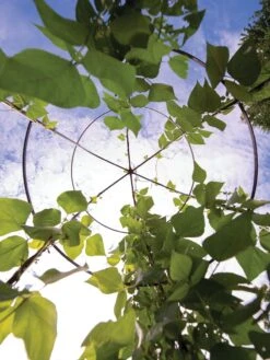 Jardin Tower -Garden Pro Shop 3 4 crop 8612997 0033