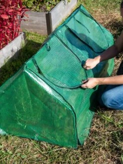 Multi Cloche -Garden Pro Shop 3 4 crop 8613213 0250