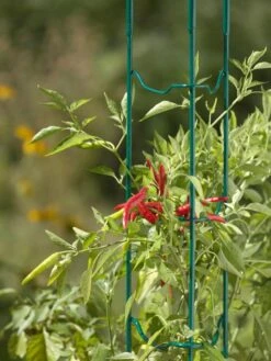 Garden Pro Shop -Garden Pro Shop 40308 505 jpg