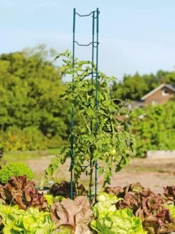 Stacking Tomato Ladders, Set Of 6 -Garden Pro Shop 40309 100 tif