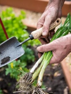 Gardener's Lifetime Trowel -Garden Pro Shop 8586972 3286 tif