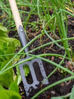 Gardener's Lifetime Spork 10 Gardener's Lifetime Spork -Garden Pro Shop 8586973 2383 tif