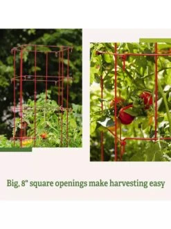 Tomato Cages, Set Of 4 -Garden Pro Shop 8587040 2