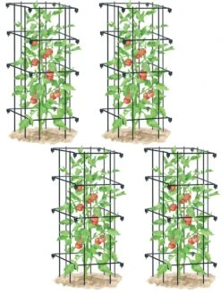 Tomato Cages, Set Of 4 -Garden Pro Shop 8587040 BK 001E tif