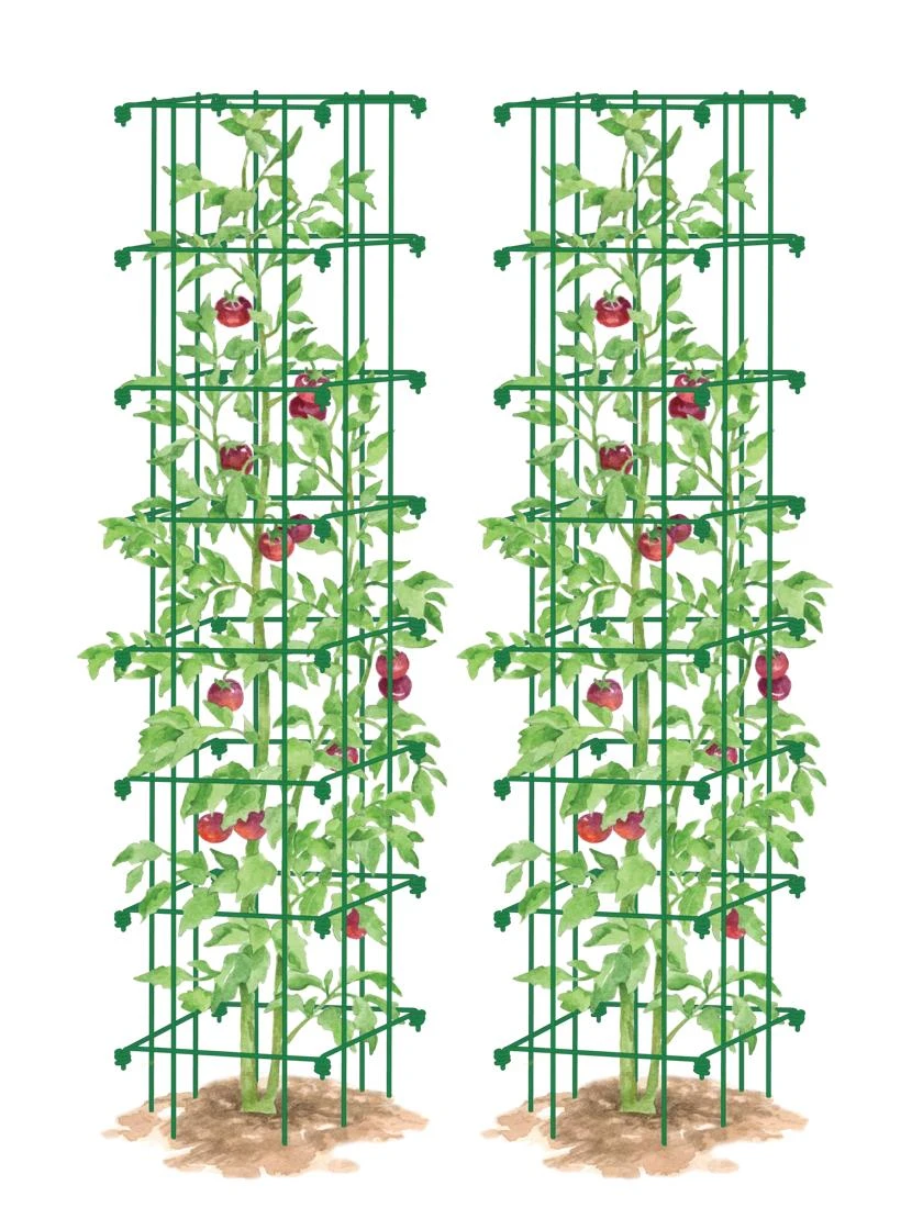 Tomato Towers, Set Of 2 6 Tomato Towers, Set Of 2 - Image 4