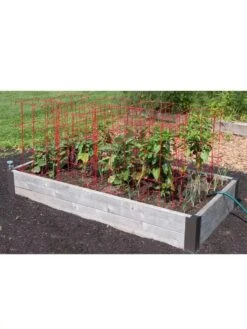 Pepper And Eggplant Cages, Set Of 3 -Garden Pro Shop 8587048 6008 3 4
