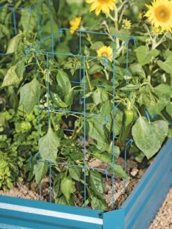 Pepper And Eggplant Cages, Set Of 3 -Garden Pro Shop 8587048 9792 tif