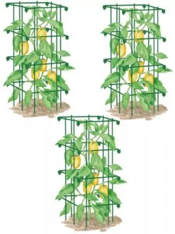 Pepper And Eggplant Cages, Set Of 3 -Garden Pro Shop 8587048 GR 001E pepper and eggplant cages set of 3 tif