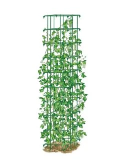 Bean Tower -Garden Pro Shop 8587060 0008 GRN tif