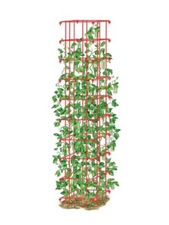 Bean Tower -Garden Pro Shop 8587060 0008 RED tif