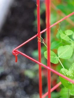 Tall Expandable Pea Trellis 9 Tall Expandable Pea Trellis -Garden Pro Shop 8587061 010 tif