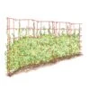 Expandable Pea Trellis -Garden Pro Shop 8587061 PeaFence Red 001E tif