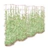 Tall Expandable Pea Trellis 1 Tall Expandable Pea Trellis -Garden Pro Shop 8587062 0001 RED tall expandable pea trelis tif
