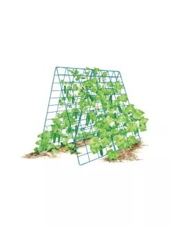 Deluxe Cucumber Trellis 17 Deluxe Cucumber Trellis -Garden Pro Shop 8587083 001 BLUE Cukes two sided deluxe cucumber trellis support storm blue 3 4