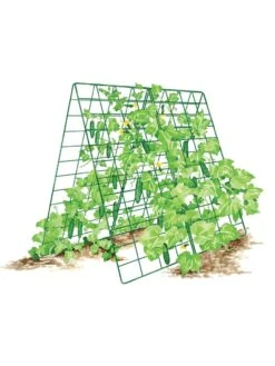 Deluxe Cucumber Trellis 16 Deluxe Cucumber Trellis -Garden Pro Shop 8587083 001 GRN tif
