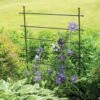 Jardin Ladder Trellis -Garden Pro Shop 8587107 1651 tif