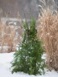 Jardin Pot Trellis -Garden Pro Shop 8587120 009 tif