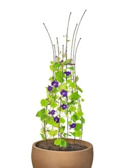 Jardin Pot Trellis -Garden Pro Shop 8587120 1006 tif
