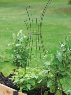 Jardin Pot Trellis -Garden Pro Shop 8587120 7037 tif