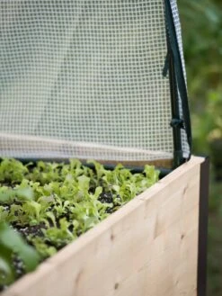 Protection Frame & Covers, 2' X 8' 19 Protection Frame & Covers, 2' X 8' -Garden Pro Shop 8587631 265 tif