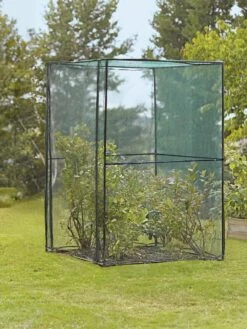 Crop Cage, 4' X 4' -Garden Pro Shop 8587832 149 tif