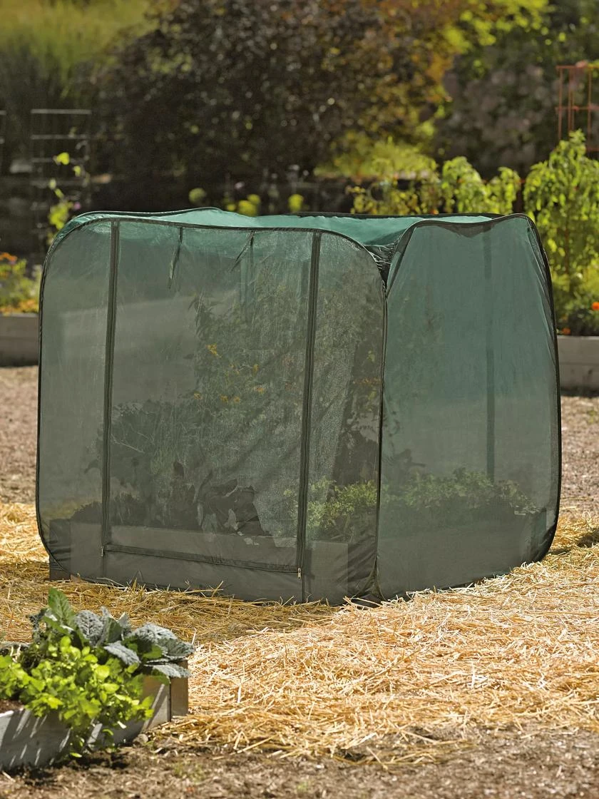 Pest Control Pop-Ups 6 Pest Control Pop-Ups - Image 4