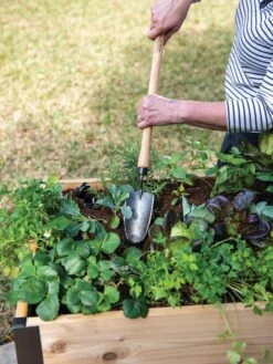 Gardener's Lifetime Raised Bed Trowel -Garden Pro Shop 8588014 4084 tif