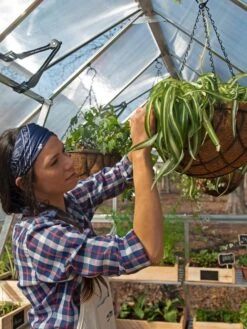 Canopia® By Palram Balance Greenhouse, 8' X 12' -Garden Pro Shop 8588023 07V jpg