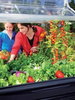 Canopia® By Palram Plant Inn™ Raised Bed Greenhouse, 4' X 4' -Garden Pro Shop 8588308 03V tif