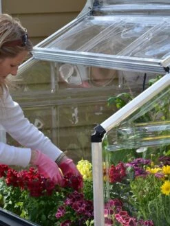 Canopia® By Palram Plant Inn™ Raised Bed Greenhouse, 4' X 4' -Garden Pro Shop 8588308 04V tif