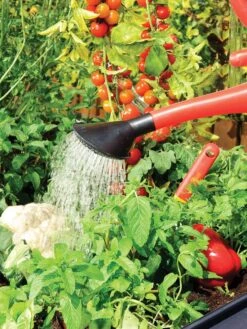 Canopia® By Palram Plant Inn™ Raised Bed Greenhouse, 4' X 4' -Garden Pro Shop 8588308 06V tif