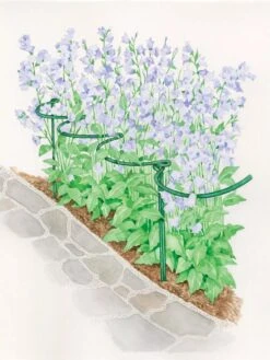 Tidy Path Supports -Garden Pro Shop 8588403 003 1