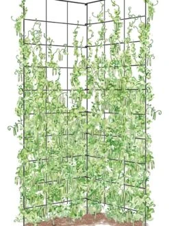 Two Panel Folding Trellis -Garden Pro Shop 8589053 002Z tif