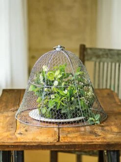 Chicken Wire Cloche 19 Chicken Wire Cloche -Garden Pro Shop 8590210 1 tif